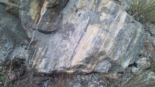 Гигантские зелёные валуны для ландшафтного дизайна весом более 5 тонн купить в Мытищах