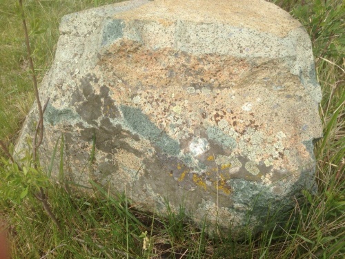 Гигантские зелёные валуны для ландшафтного дизайна весом более 5 тонн купить в Мытищах