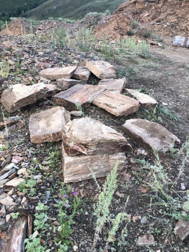 Плитняк кора дерева 50-100мм для пошаговых дорожек купить в Мытищах